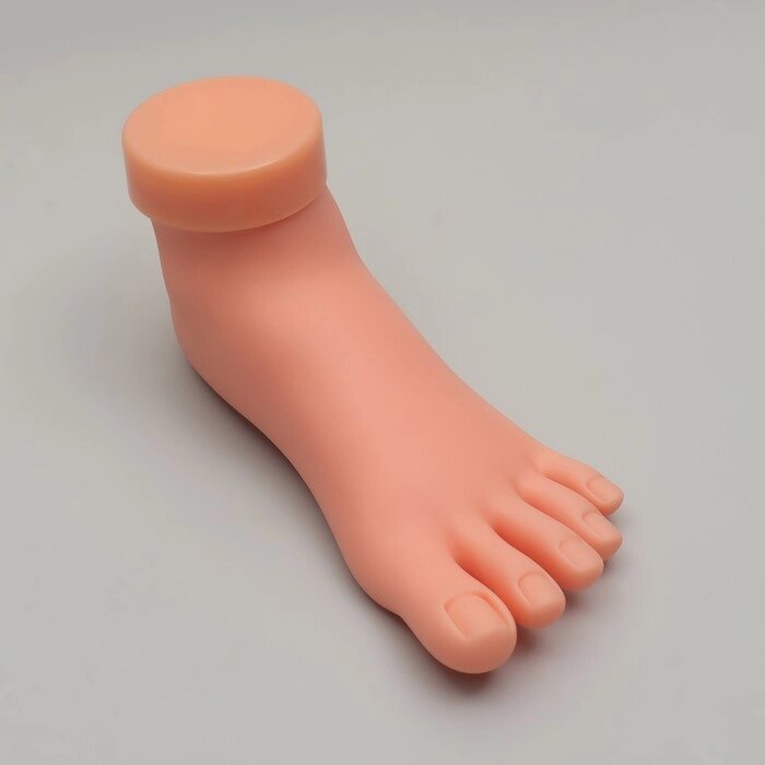 Нога тренировочная для педикюра от компании Интернет-гипермаркет «MOLL» - фото 1