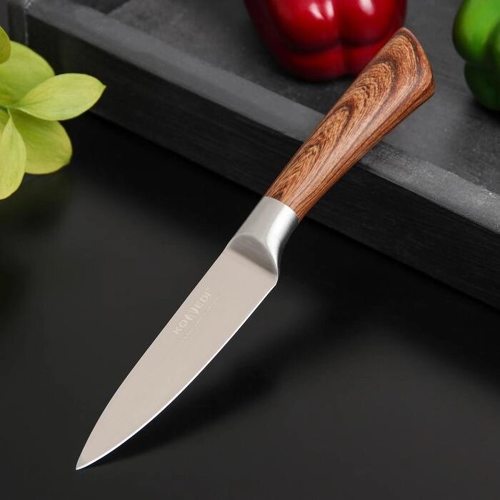 Нож кухонный Доляна Forest, овощной, лезвие 9,5 см от компании Интернет-гипермаркет «MOLL» - фото 1
