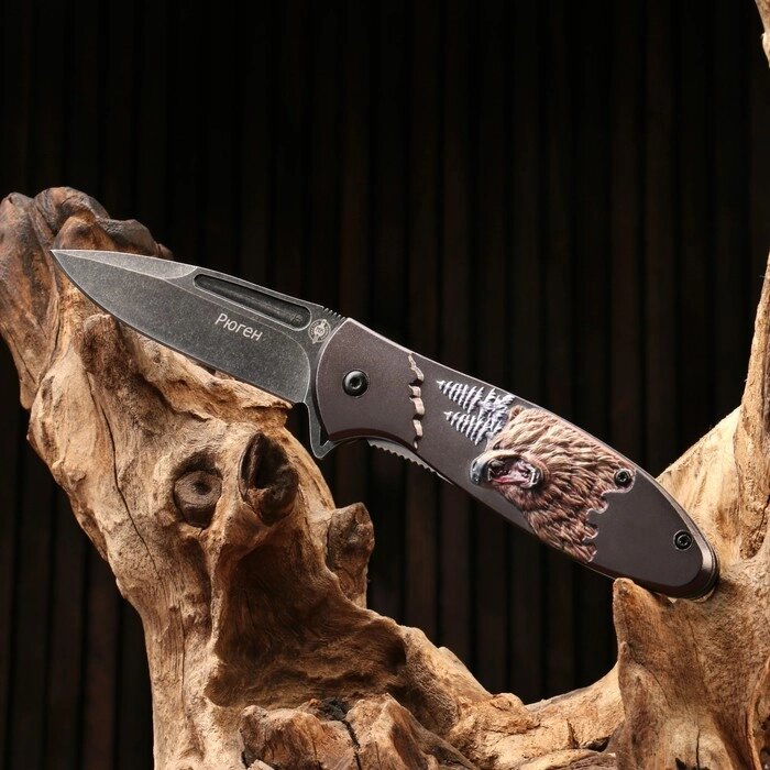 Нож складной "Рюген" от компании Интернет-гипермаркет «MOLL» - фото 1