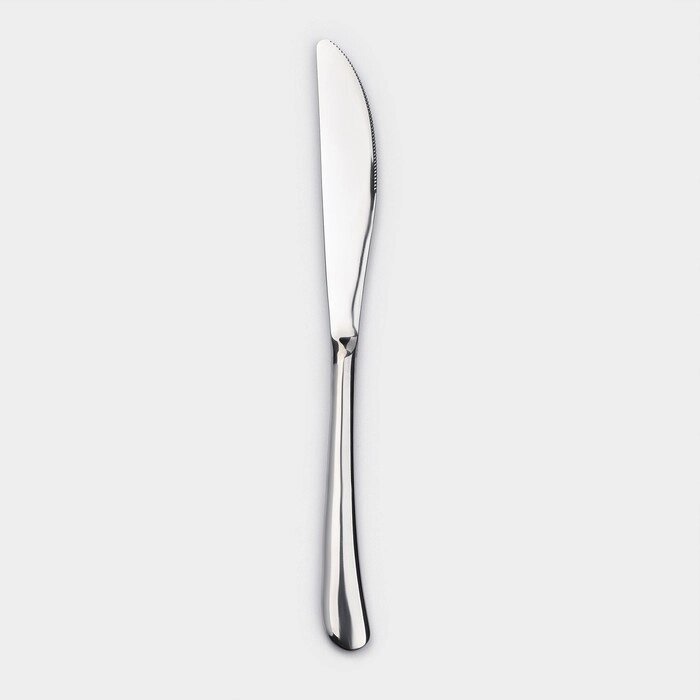 Нож столовый 22,5 см "Джентри" цвет серебро от компании Интернет-гипермаркет «MOLL» - фото 1