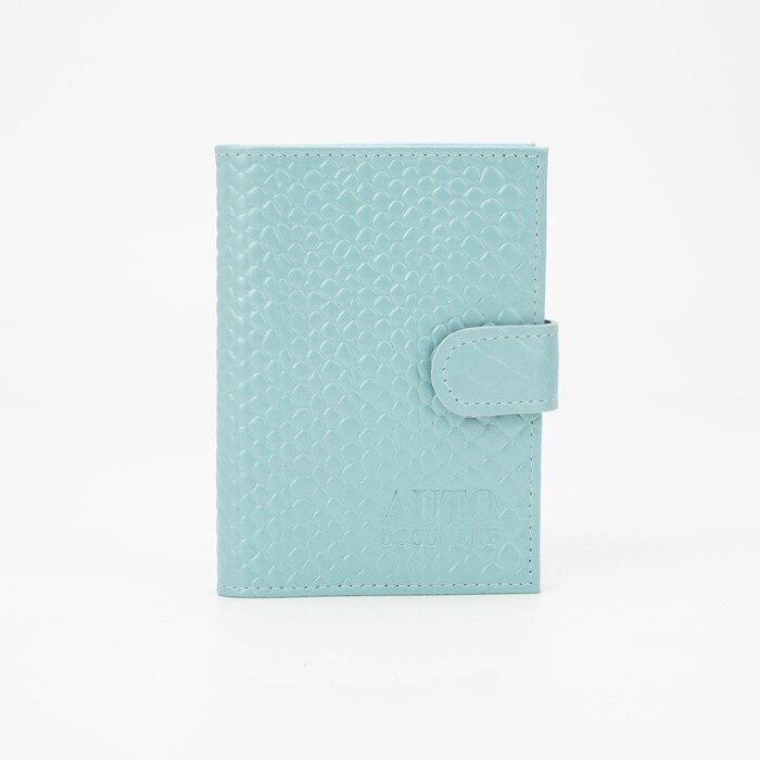 Обложка для автодокументов и паспорта, цвет голубой от компании Интернет-гипермаркет «MOLL» - фото 1