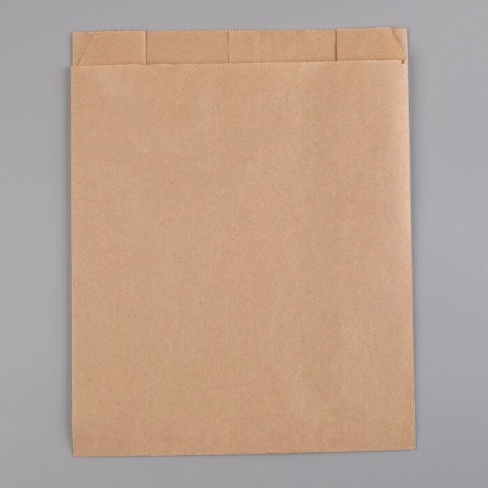 Пакет бумажный фасовочный, крафт, V-образное дно 25 х 20 х 9 см, набор 100 шт от компании Интернет-гипермаркет «MOLL» - фото 1