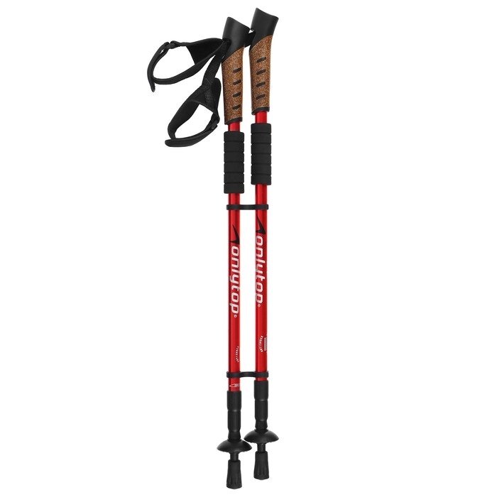 Палки для скандинавской ходьбы, телескопические, 3 секции, до 135 см, 2 шт., цвета микс от компании Интернет-гипермаркет «MOLL» - фото 1