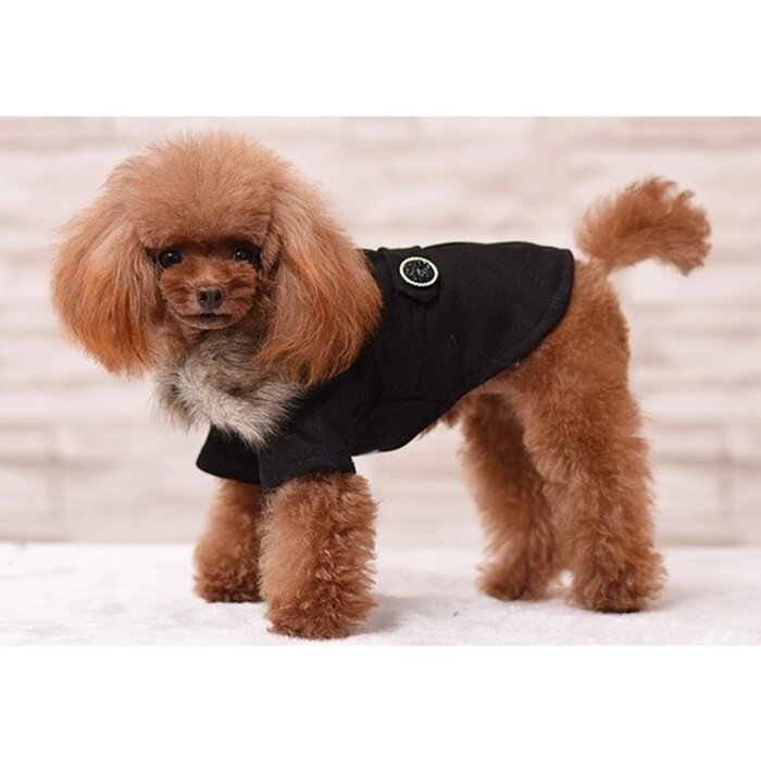 Пальто для собак, размер L (ДС 35, ОГ 52-53, ОШ 33-34 см), чёрное от компании Интернет-гипермаркет «MOLL» - фото 1