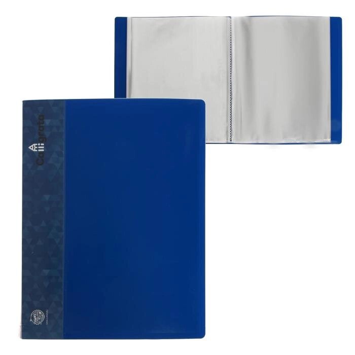 Папка 100 прозр вкладышей A4 700мкм Calligrata, карман на корешке, синяя от компании Интернет-гипермаркет «MOLL» - фото 1