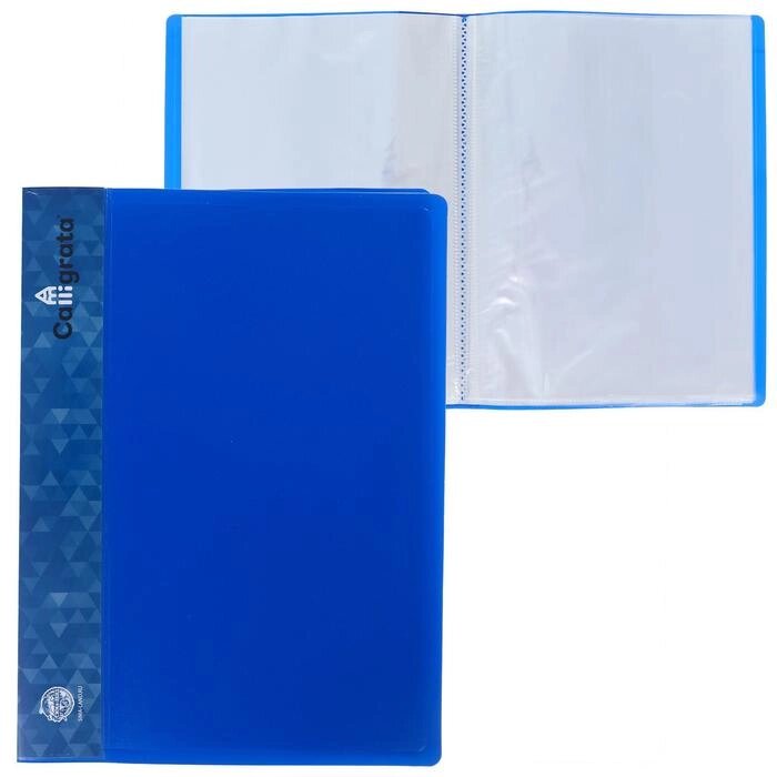Папка 60 прозр вкладышей A4 500мкм Calligrata, карман на корешке, синий от компании Интернет-гипермаркет «MOLL» - фото 1
