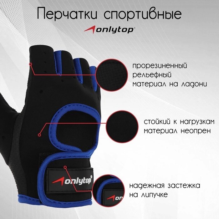 Перчатки спортивные, размер L, цвет черно-синий от компании Интернет-гипермаркет «MOLL» - фото 1