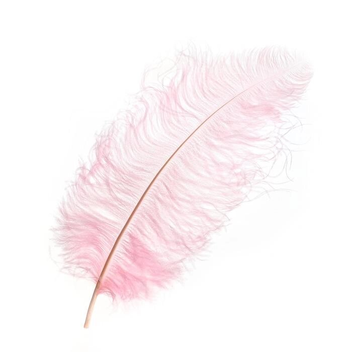 Перо для декора, длина от 45 до 60 см, цвет розовый от компании Интернет-гипермаркет «MOLL» - фото 1
