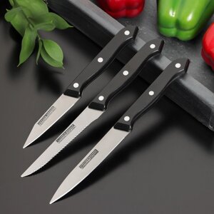 Набор кухонных ножей "Кулинарные изыски", 3 предмета, цвет МИКС