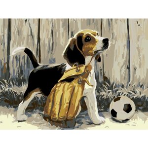 Картина по номерам на холсте "Щенок с мячом", 40*30 см