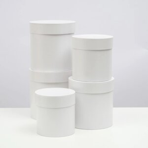 Набор шляпных коробок 5 в 1 "Белизна",20 20 20‒13,5 13,5 13,5 см