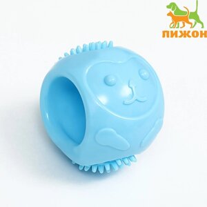 Игрушка для собак "Ёж", TPR, массажная, 6,5 см, голубая
