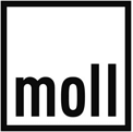 Интернет-гипермаркет «MOLL»