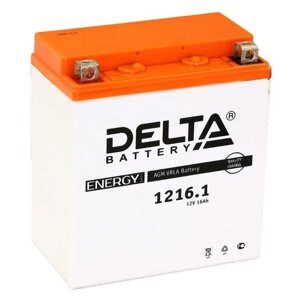 Аккумуляторная батарея Delta СТ1216.1 (YTX16-BS, YB16B-A)12V, 16 Ач прямая (+ -)