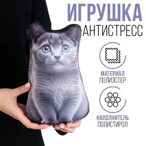 Антистресс игрушка "Котик Русский Голубой"
