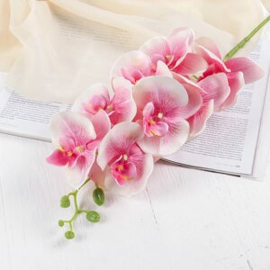 Цветы искусственные "Орхидея Изящная" 10*100 см, розовая