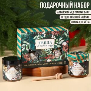 Подарочный набор "Тепла в новом году": алтайский мёд с мумиё 240 г., ягодно-травяной чай 50 г., ложка для мёда