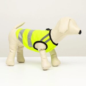 Светоотражающий жилет для собак, размер 18 (ДС 40 см, ОГ 50 см, ОШ 38 см), жёлтый
