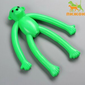 Игрушка для собак "Обезьяна" с пищалкой, 19,5 см, силикон, зелёная