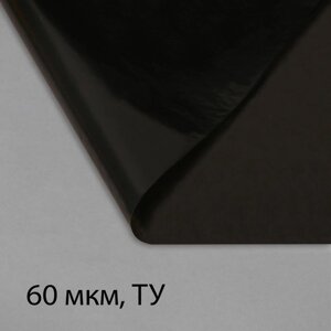 Плёнка полиэтиленовая, техническая, толщина 60 мкм, 3 10 м, рукав (1,5 м 2), чёрная, 2 сорт, Эконом 50 %