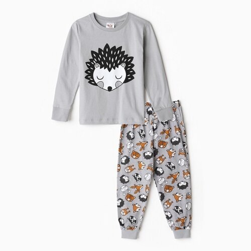 Пижама для мальчика А. ПДЭМ-008, цвет серый/ёжик, рост 116см