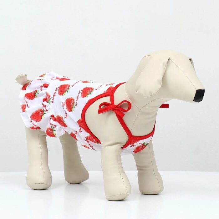 Платье для животных Клубничка", M (ДС 30, ОГ 40 см), белое от компании Интернет-гипермаркет «MOLL» - фото 1