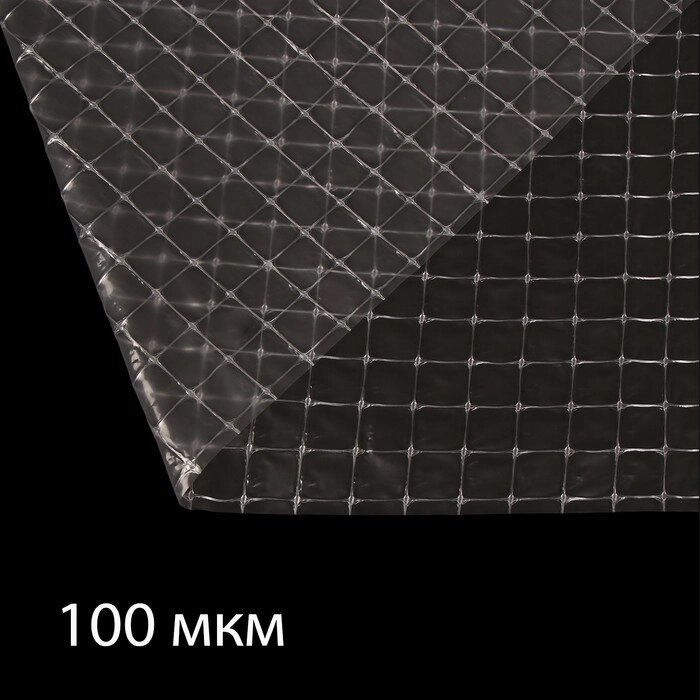 Плёнка полиэтиленовая, армированная леской, толщина 100 мкм, 10  2 м, УФ от компании Интернет-гипермаркет «MOLL» - фото 1
