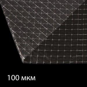 Плёнка полиэтиленовая, армированная леской, толщина 100 мкм, 10 2 м, УФ