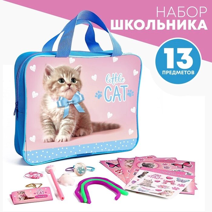 Подарочный набор Котик от компании Интернет-гипермаркет «MOLL» - фото 1