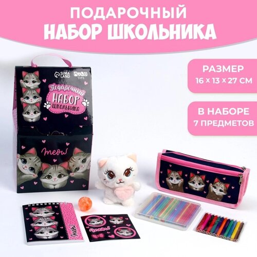 Подарочный набор школьника с мягкой игрушкой "Кот", 7 предметов