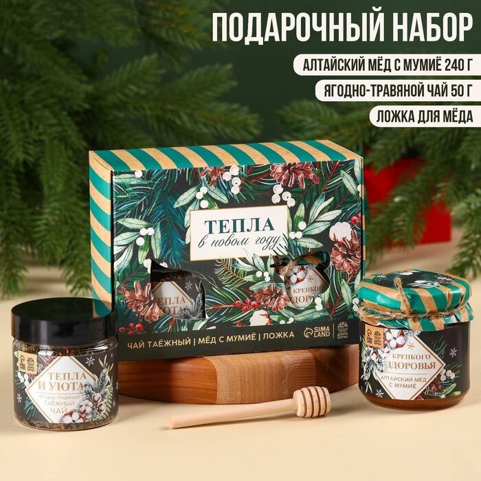 Подарочный набор "Тепла в новом году": алтайский мёд с мумиё 240 г., ягодно-травяной чай 50 г., ложка для мёда от компании Интернет-гипермаркет «MOLL» - фото 1