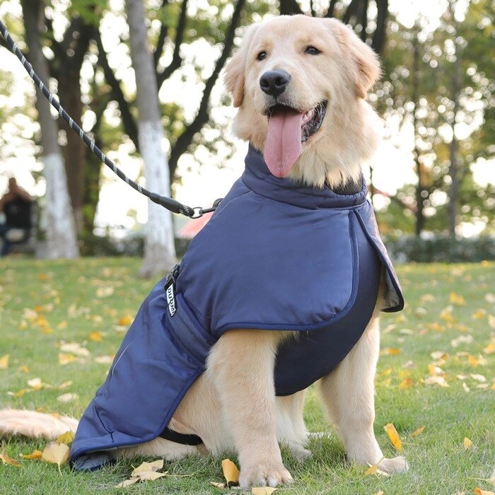 Попона для больших собак, мембранная ткань,  размер XL (ДС 35, ОШ 38, ОГ 56-66 см), синяя от компании Интернет-гипермаркет «MOLL» - фото 1