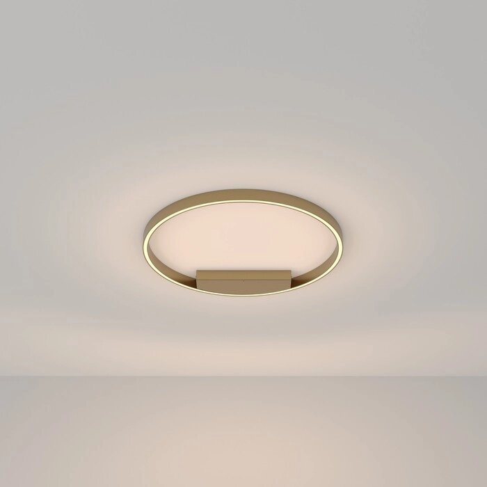 Потолочный светильник Rim 2xLED от компании Интернет-гипермаркет «MOLL» - фото 1