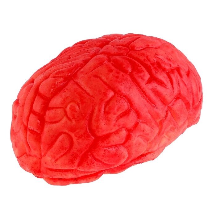 Прикол "Мозг" от компании Интернет-гипермаркет «MOLL» - фото 1