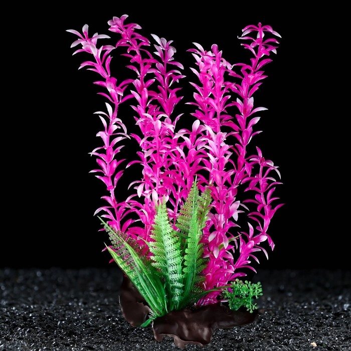 Растение искусственное аквариумное на платформе в виде коряги, 30 см, розовое от компании Интернет-гипермаркет «MOLL» - фото 1