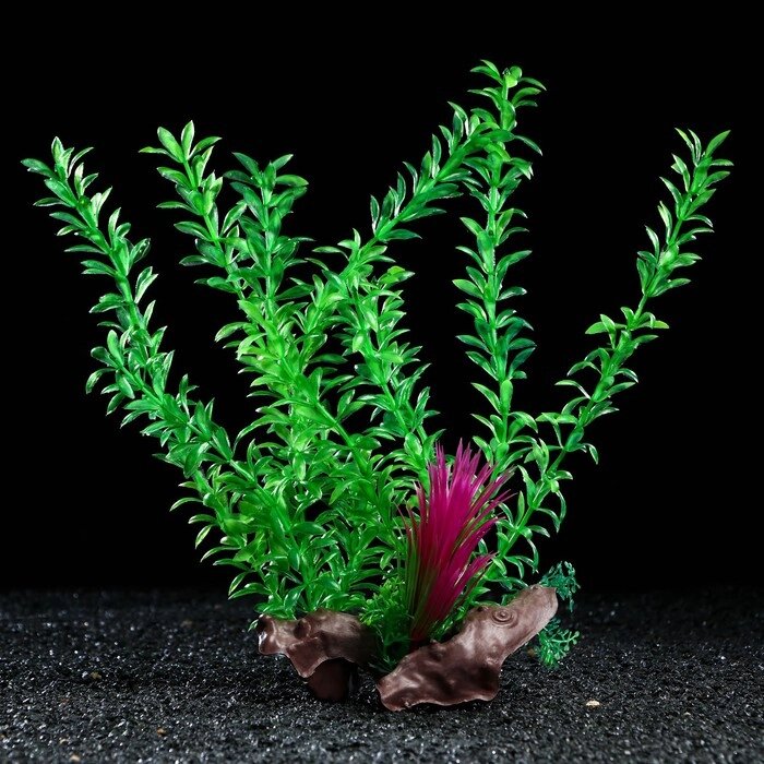 Растение искусственное аквариумное на платформе в виде коряги, 30 см, зелёное от компании Интернет-гипермаркет «MOLL» - фото 1