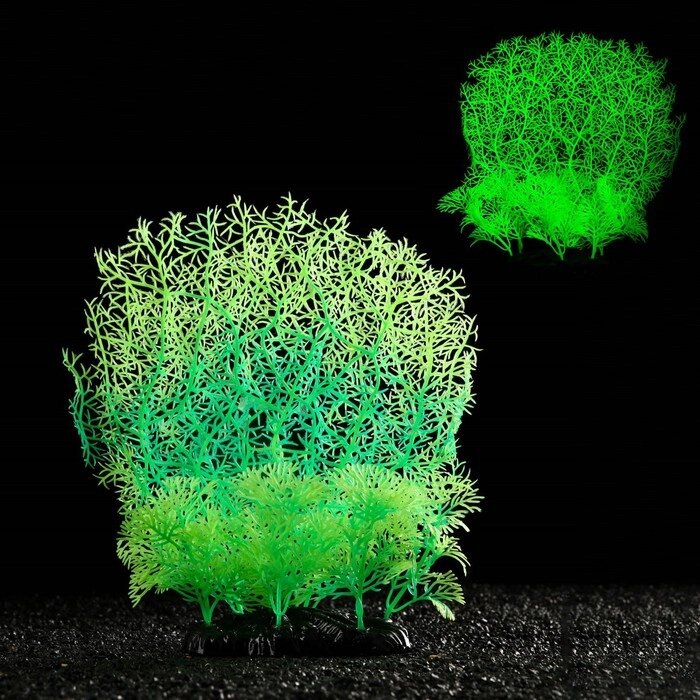 Растение искусственное аквариумное, светящееся, 23 см, зелёное от компании Интернет-гипермаркет «MOLL» - фото 1