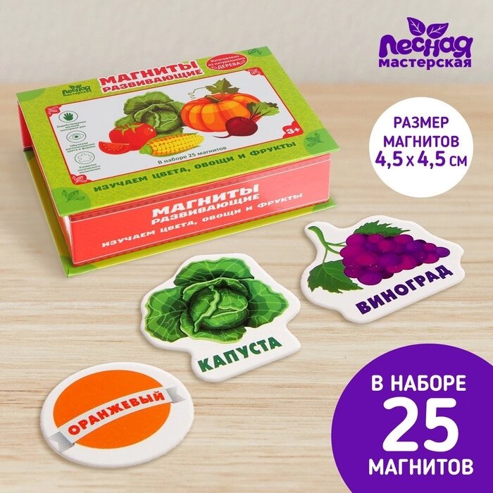 Развивающие магниты "Изучаем цвета и овощи - фрукты" (набор 25 шт) от компании Интернет-гипермаркет «MOLL» - фото 1