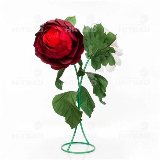 Ростовой цветок от компании Интернет-гипермаркет «MOLL» - фото 1