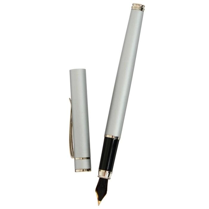 Ручка перьевая Luxor Sleek, линия 0.8 мм, чернила синие, корпус серый металлик от компании Интернет-гипермаркет «MOLL» - фото 1