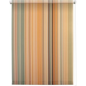Рулонная штора "Спектр", 120 х 175 см