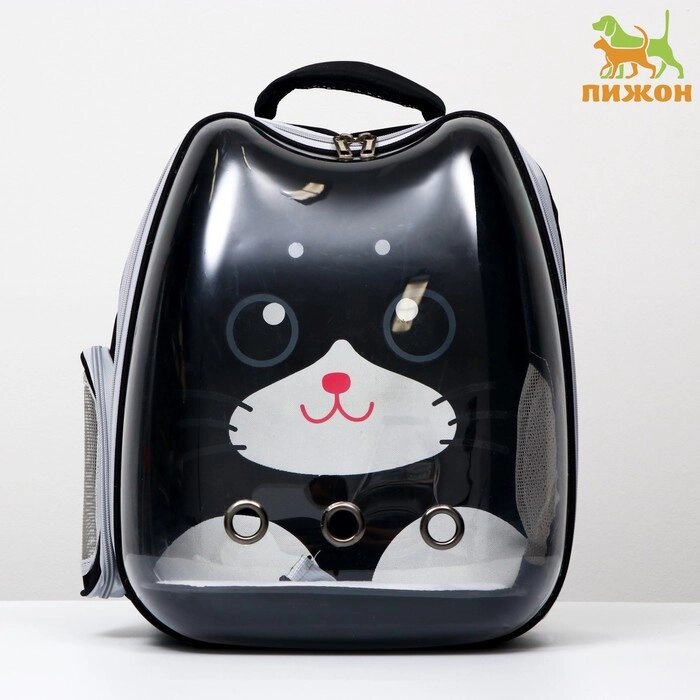 Рюкзак для переноски животных "Котик", прозрачный, 34 х 25 х 40 см, чёрный от компании Интернет-гипермаркет «MOLL» - фото 1