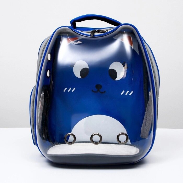 Рюкзак для переноски животных "Котик", прозрачный, 34 х 25 х 40 см, синий от компании Интернет-гипермаркет «MOLL» - фото 1