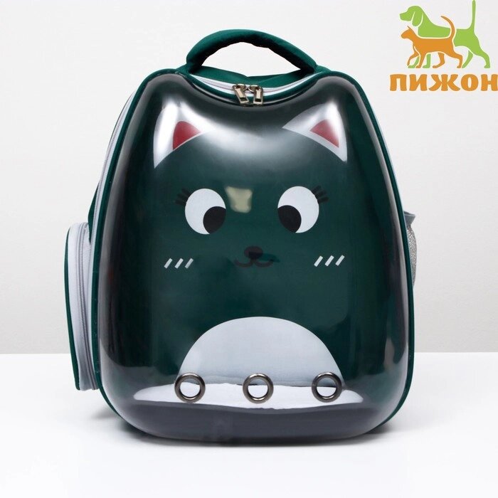 Рюкзак для переноски животных "Котик", прозрачный, 34 х 25 х 40 см, зелёный от компании Интернет-гипермаркет «MOLL» - фото 1