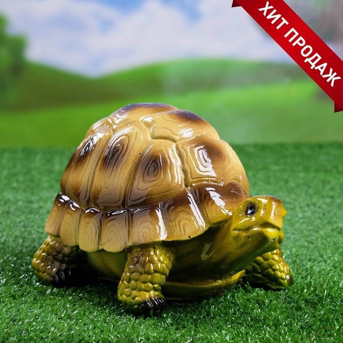 Садовая фигура "Черепаха Пашка" 21х14х13см от компании Интернет-гипермаркет «MOLL» - фото 1