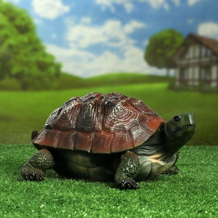 Садовая фигура  "Черепаха средняя" от компании Интернет-гипермаркет «MOLL» - фото 1