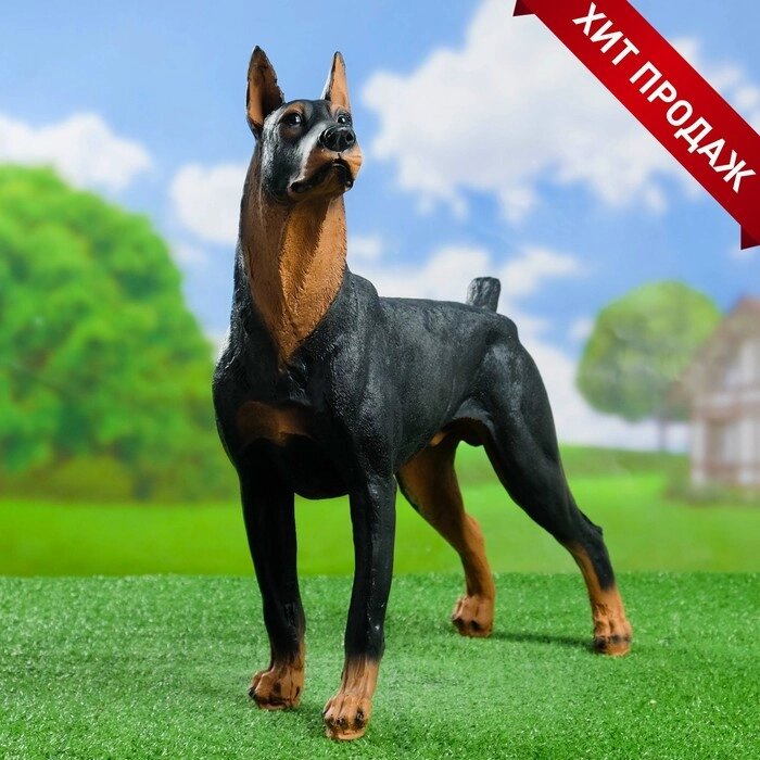 Садовая фигура "Собака Доберман" большой стоит от компании Интернет-гипермаркет «MOLL» - фото 1