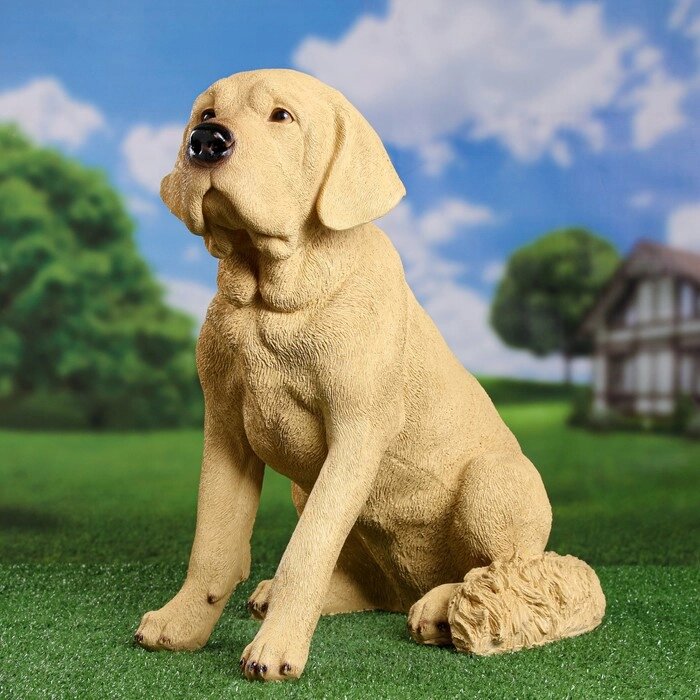 Садовая фигура "Собака лабрадор" 47х30х47см от компании Интернет-гипермаркет «MOLL» - фото 1