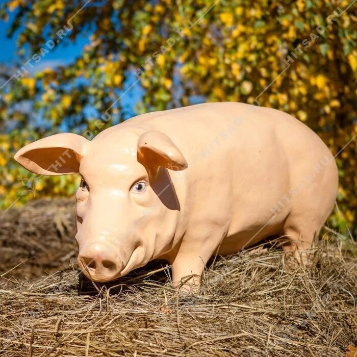 Садовая фигура Свинка от компании Интернет-гипермаркет «MOLL» - фото 1
