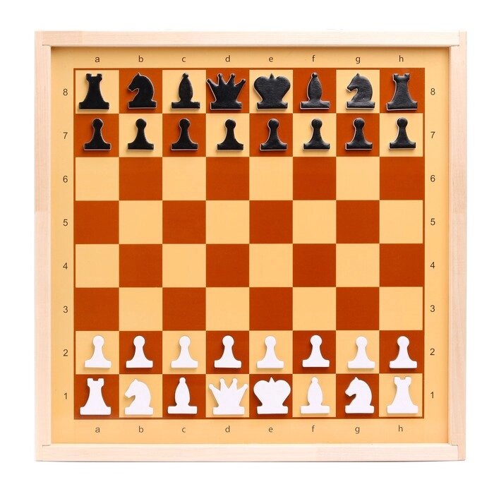 Шахматы демонстрационные магнитные (мини) 04360 от компании Интернет-гипермаркет «MOLL» - фото 1